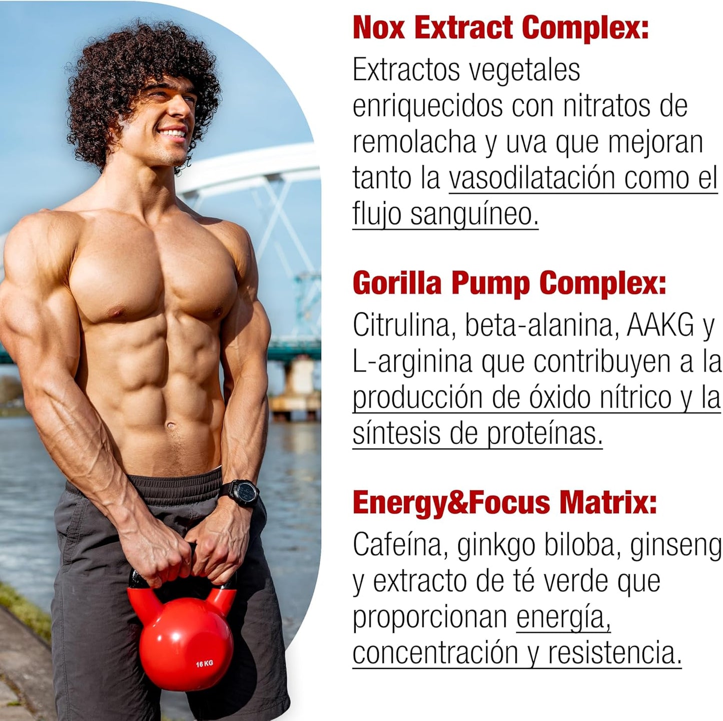 Moonstruck II, Polvos Pre Entreno, Suplemento para Deportistas, Pre Workout en Polvo con Cafeína, Extractos Vegetales - 510 g (Sandía Loca)