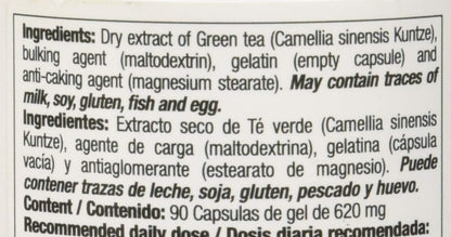 Quamtrax Nutrition - Green Tea - 90 capsules - Concentrated extract, metabolism support and general well-being