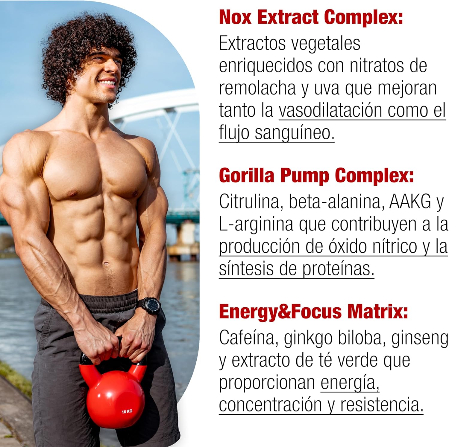 Moonstruck II, Polvos Pre Entreno, Suplemento para Deportistas, Pre Workout en Polvo con Cafeína, Extractos Vegetales - 510 g (Sandía Loca)